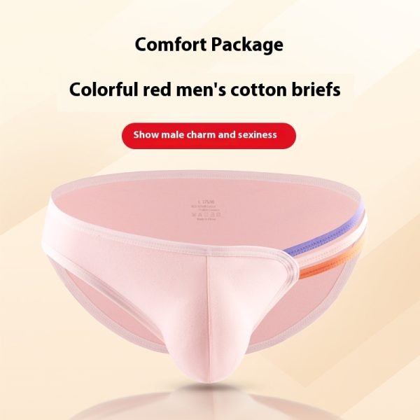 Men's T-shape Rainbow Cotton Breathable Sexy High Elastic Briefs U Bag - Image 3