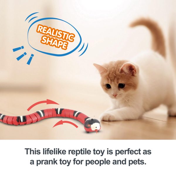 Smart Sensing Interactive Cat Toys Automatic Eletronic Snake Cat Teasering Play USB Rechargeable Kitten Toys For Cats Dogs Pet - Image 2